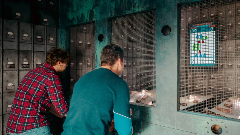 Prison Island + E-Chopper-Tour